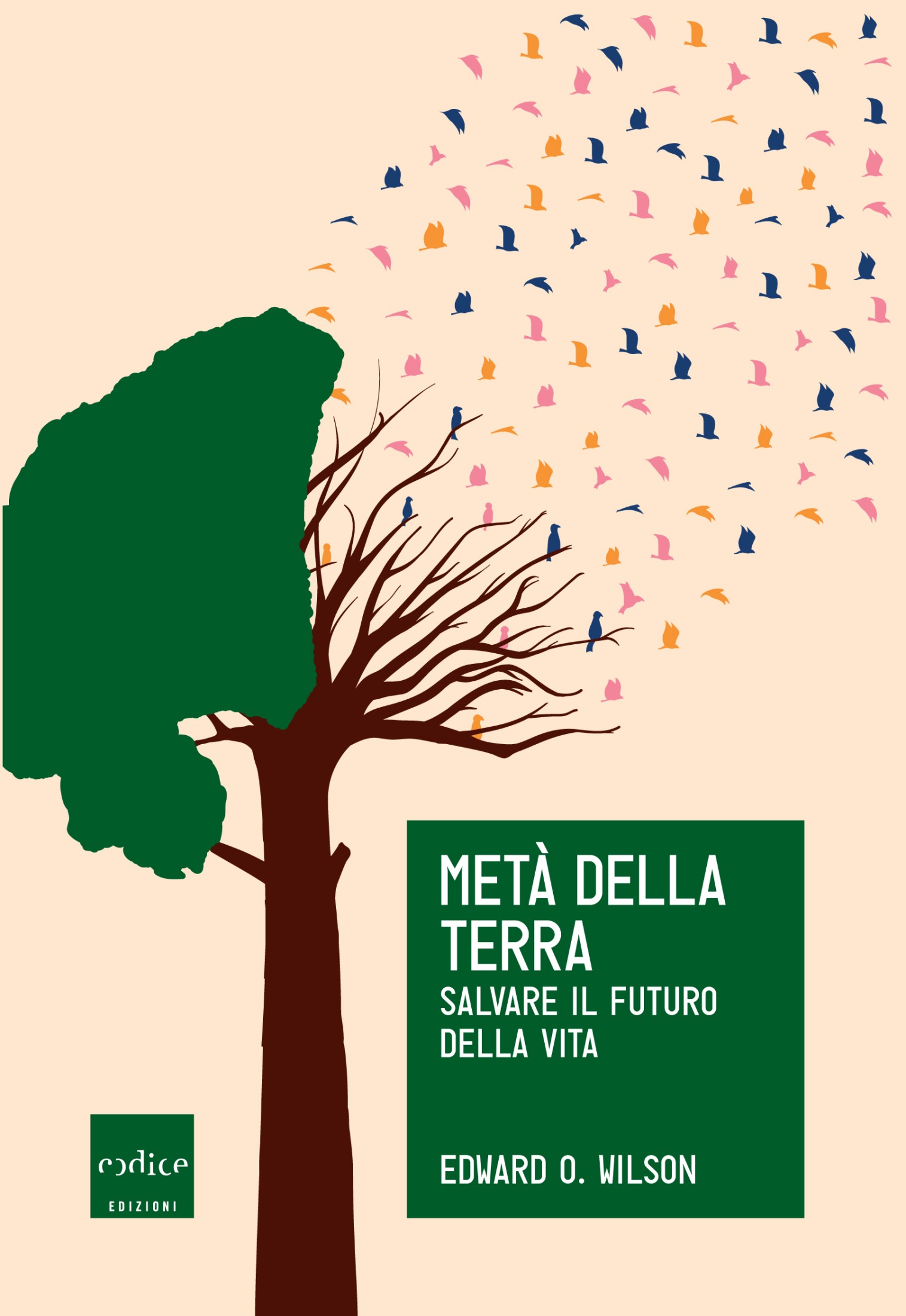 Metà della terra