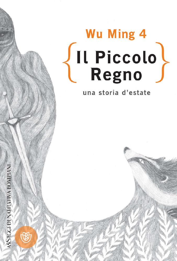 Il piccolo regno (AsSaggi di narrativa) (Italian Edition)