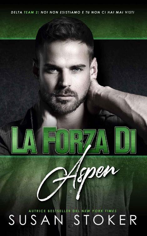 TeamDeltaDue_3.La forza di Aspen
