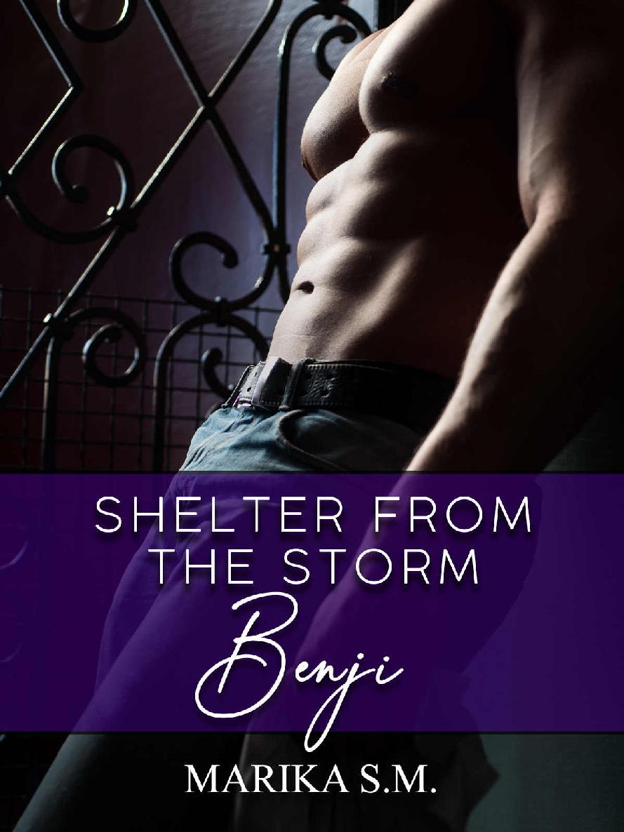 Shelter From The Storm - Benji (Italian Edition)