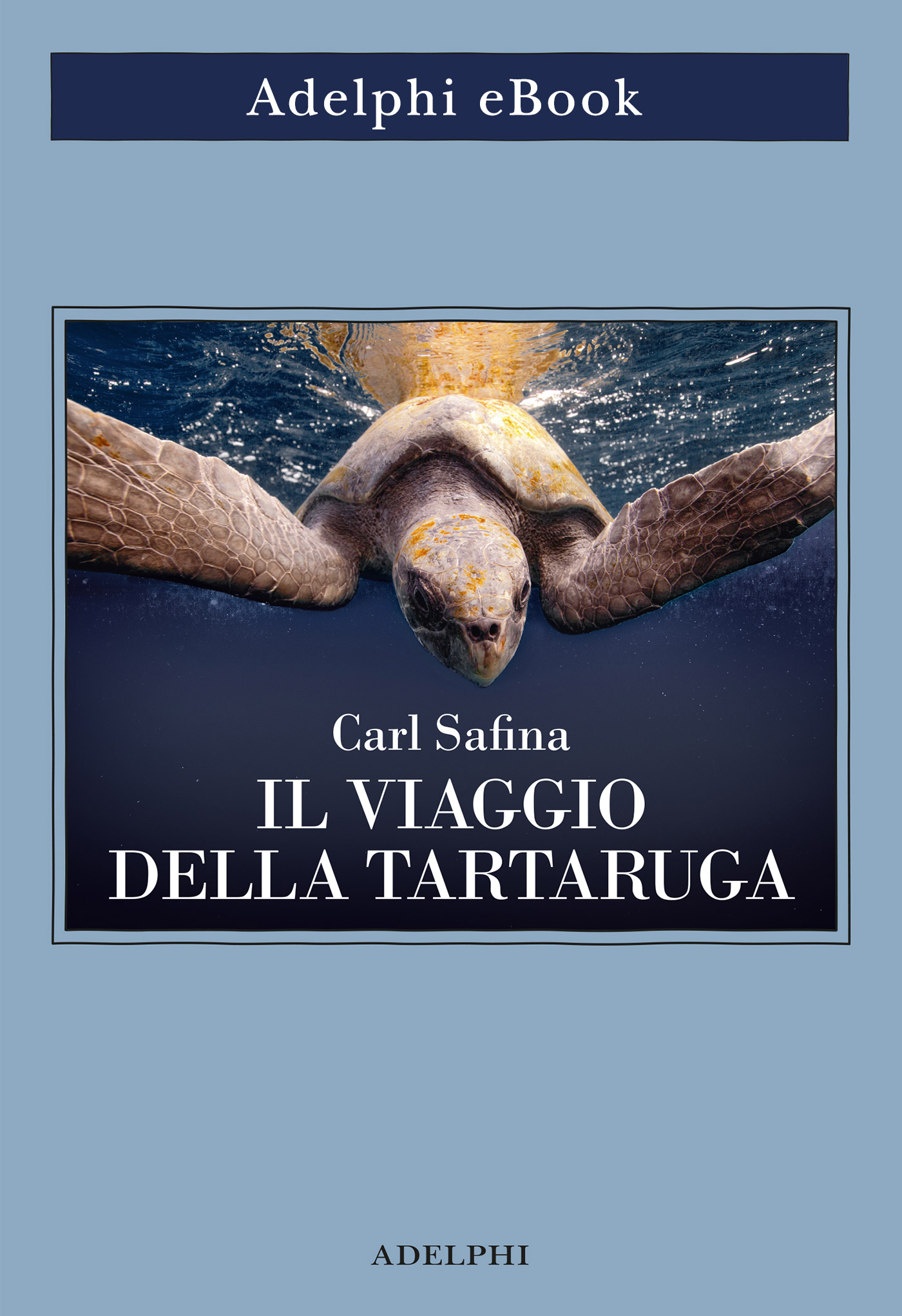 Il viaggio della tartaruga