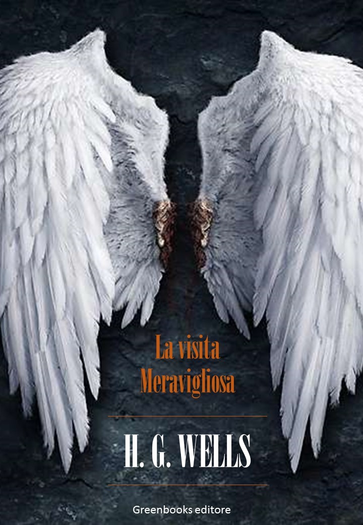 La visita meravigliosa