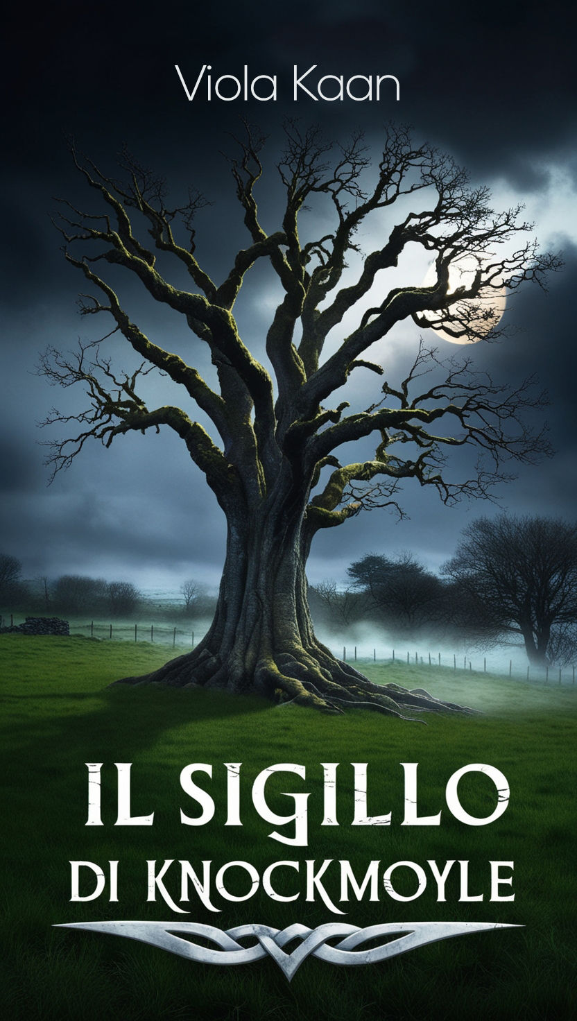 Il Sigillo di Knockmoyle (Italian Edition)