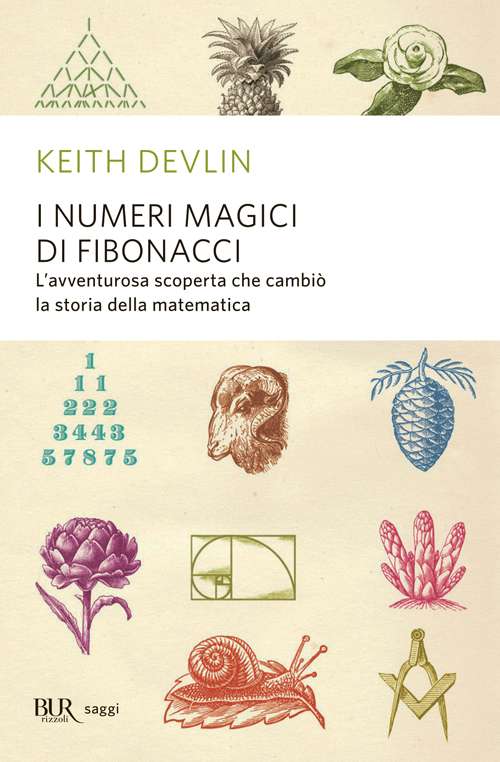 I numeri magici di Fibonacci: L'avventurosa scoperta che cambiò la storia della matematica