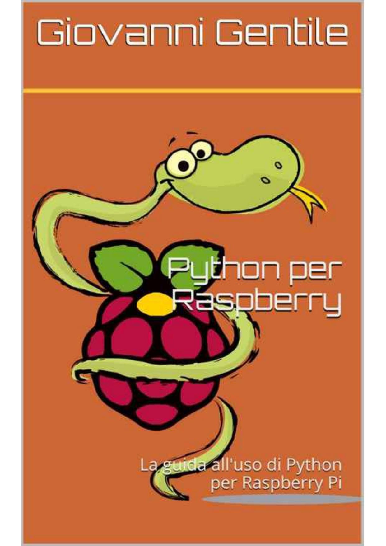 Python per Raspberry: La guida all'uso di Python per Raspberry Pi (Italian Edition)